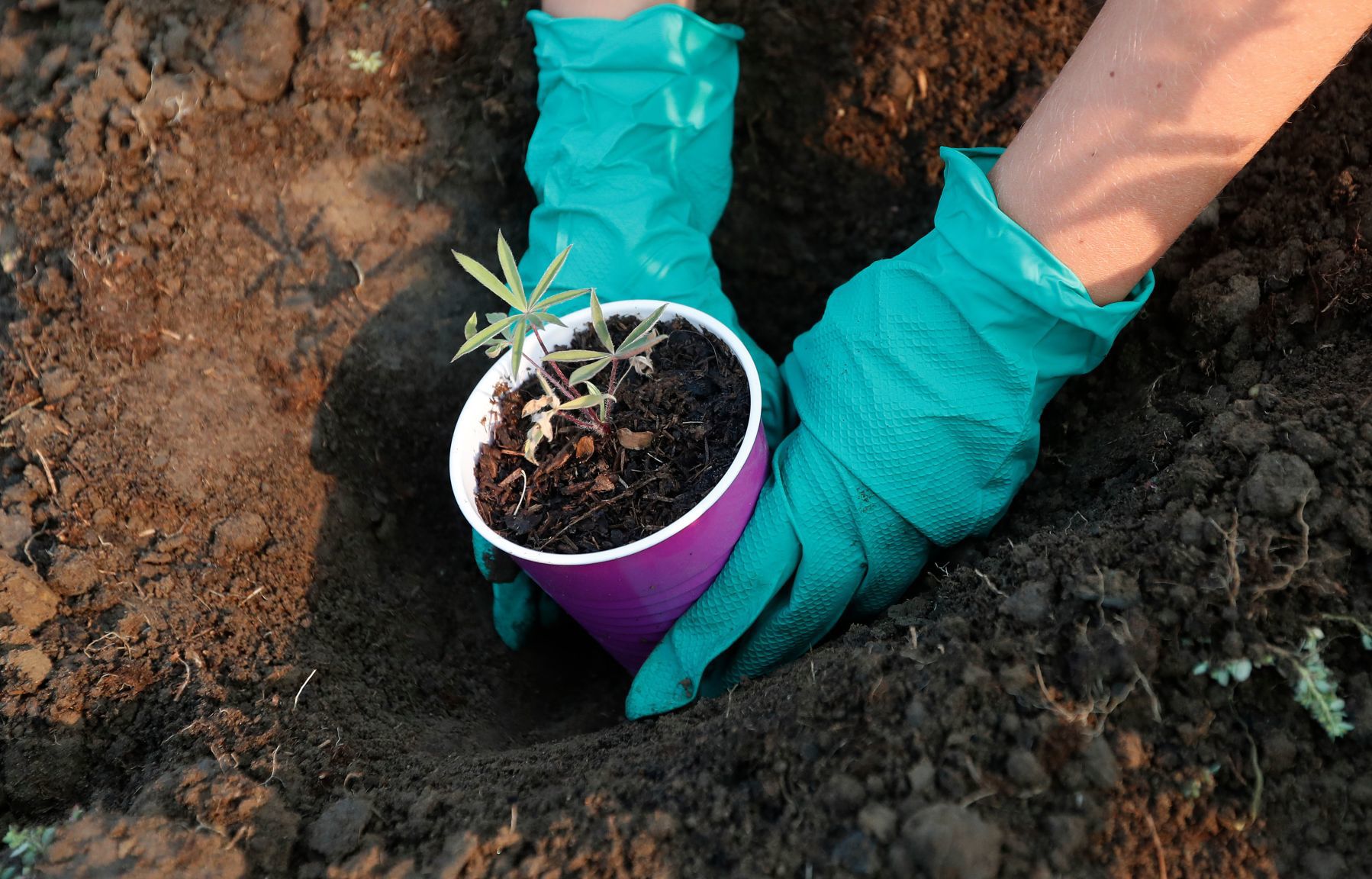 Girl Scouts plant flowers in Billings Depot Pocket Park